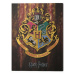 Obraz na plátně Harry Potter - Hogwarts Crest, (60 x 80 cm)