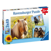 Ravensburger Koně 3x49 dílků