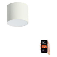 Neo  NEO 07241L - LED Stmívatelné svítidlo RONDATE 18W/230V 11,5cm Wi-Fi Tuya