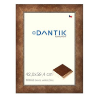 DANTIK rámeček 42 × 59,4, TOMAS bronz velký plexi čiré