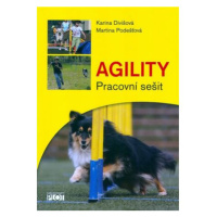 Agility - Pracovní sešit