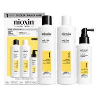 NIOXIN Kit System 1 for Natural Hair, Trial Size 350 ml