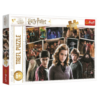 Puzzle Harry Potter s přáteli