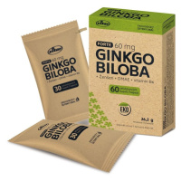 Vitar Ginkgo biloba 60 mg + DMAE + vitamin B6 EKO 60 kapslí