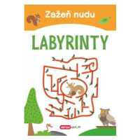 Zažeň nudu - Labyrinty