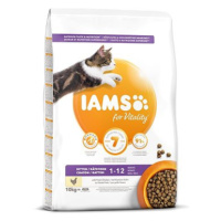 IAMS Cat Kitten Chicken 10 kg