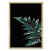 Dekoria Plakát Dark Fern Leaf, 50 x 70 cm, Volba rámku: Zlatý