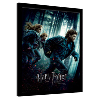 Obraz na zeď - Harry Potter - Deathly Hallows Part 1, 30x40 cm