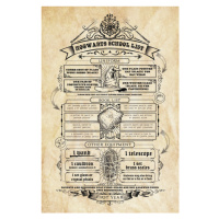 Umělecký tisk Harry Potter - Hogwarts School List, 26.7 × 40 cm