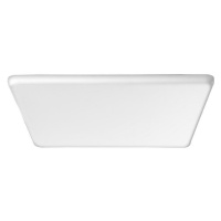 Vestavné/přisazené LED svítidlo 24W (stmívatelné) DOWNLIGHT SQUARE IP66 DIM - neutrální