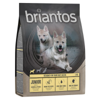 Briantos granule - 10 % sleva - junior kuřecí s bramborami