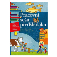 Pracovní sešit předškoláka - Ivana Novotná