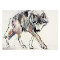 Obrazová reprodukce Wolf, Adlington, Mark, 40 × 30 cm