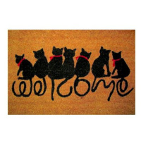 Duramat Čisticí vstupní rohož PVC & kokos 40×60cm, Cat