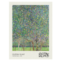 Obrazová reprodukce The Pear Tree (1903), Gustav Klimt, 30 × 40 cm