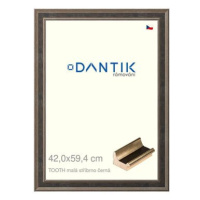 DANTIK rámeček 42 × 59,4, TOOTH malý stříbrno černý plexi čiré