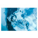 Fotografie Water splash close-up. Drop of water., Yevgeniy Sambulov, 40 × 26.7 cm