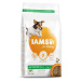 IAMS Dog Adult Small & Medium Lamb 3 kg