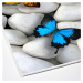 L'essentiel Sada 2 kusů koupelnových předložek ButterflyStone šedá
