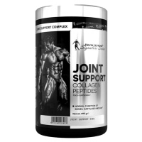 Kevin Levrone Levrone Joint Support 495g - višeň