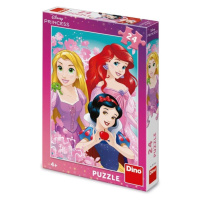 Puzzle Krásné princezny 24 dílků