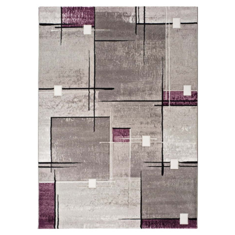 Šedo-fialový koberec Universal Detroit, 160 x 230 cm