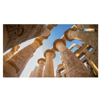 Fotografie Fish-eye view of Great Hypostyle Hall, Elizabeth Beard, 40 × 22.2 cm