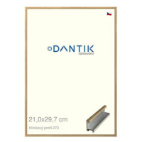 DANTIK rámeček 21 × 29,7, ALU profil 7273 Dýha dub sklo čiré