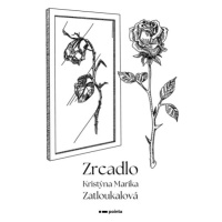 Zrcadlo Pointa