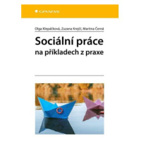 Sociální práce na příkladech z praxe