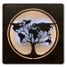 Li-Go "Mapa světa v kruhu" světelný obraz s baterií 70x70cm varianta: ovládání na obraze včetně 