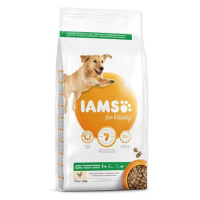 IAMS Dog Adult Large Chicken 3 kg