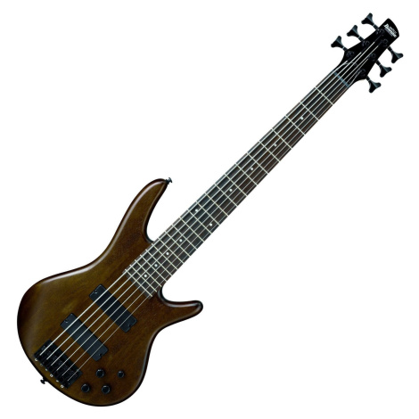 Ibanez GSR206B-WNF Walnut Flat 6-strunná baskytara