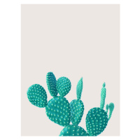 Ilustrace cactus 5, Finlay & Noa, 30 × 40 cm