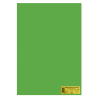 Kreslicí karton barevný A1 225 g - 20 ks - sv. zelená