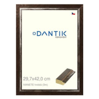 DANTIK rámeček 29,7 × 42, IVANETE hnědý plexi čiré