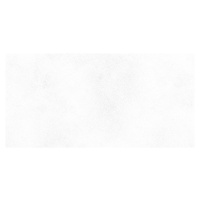 Dlažba Peronda Planet white 30x60 cm mat PLANET36WHSF