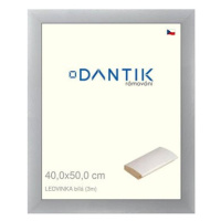 DANTIK rámeček 40 × 50, LEDVINKA bílý plexi čiré