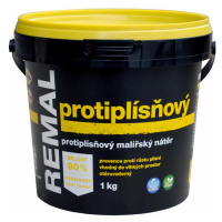 Remal Protiplísňový 1 kg