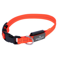 Nomad Tales Spirit nylonový obojek USB LED, oranžový - velikost S: obvod krku 34-41 cm