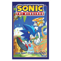 Ježek Sonic: První dobrodružství - Ian Flynn - kniha z kategorie Sci-fi, fantasy a komiksy