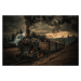 Fotografie Gold digger train, Hubert Bichler, 40x26.7 cm
