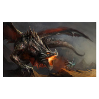 Ilustrace knight fighting dragon, fotokostic, 40 × 24.6 cm