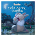 Disney Bunnies - Dobrou noc, Dupíku | Kolektiv