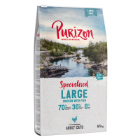 Výhodné balení Purizon - bezobilné 2 x 6,5 kg - Large Adult kuře & ryba - bezobilné