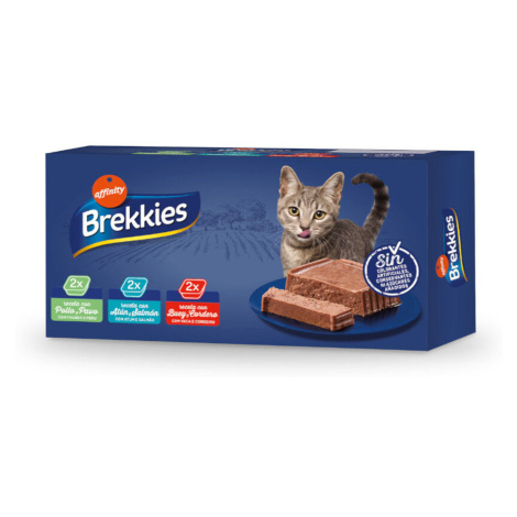 Brekkies paštika pro kočky 12×100 g – výhodné balení - míchané balení (3 druhy) Affinity Brekkies