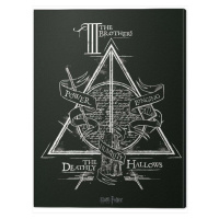 Obraz na plátně Harry Potter - Deathly Hallows, (60 x 80 cm)