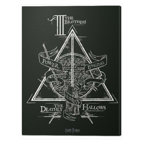 Obraz na plátně Harry Potter - Deathly Hallows, (60 x 80 cm) Pyramid