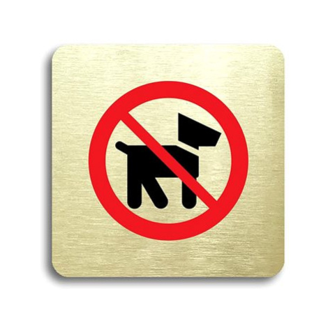 Accept Piktogram "zákaz vstupu se psem II" (80 × 80 mm) (zlatá tabulka - barevný tisk bez rámečk