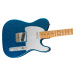 Fender J Mascis Telecaster MN Bottle RBF